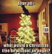 Image result for Christmas Cat Meme