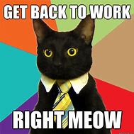 Image result for Get to Work Cat Meme