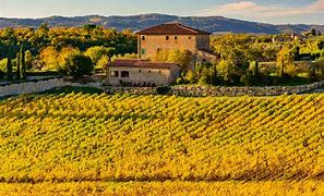 Image result for Italy Countryside