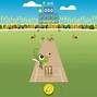 Image result for Funny Cricket Messages