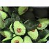 Image result for Avocado Fuzzamallows