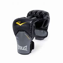Image result for Martial Arts Cloth Gloves