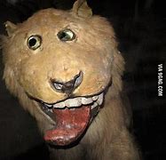 Image result for Taxidermy Lion Meme