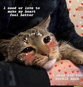 Image result for I Love You Animal Meme