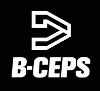 Image result for b�ceps