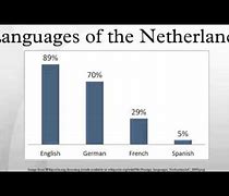 Image result for Languages of the Netherlands