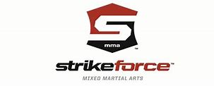 Image result for Strikeforce MMA