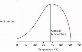 Image result for Enzyme Kinetics Graph