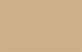 Image result for Yellow-Tan Screen