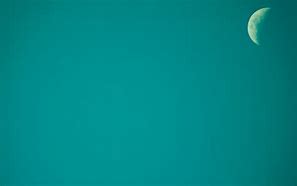 Image result for Cute Teal