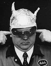 Image result for Tin Foil Hat Guy Blank Meme