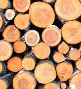 Image result for Firewood