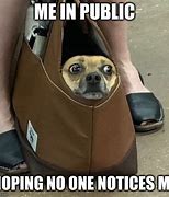 Image result for Nervous Dog Meme