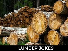 Image result for Lumber Jokes