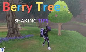 Image result for Sword and Shield Tree Glitch