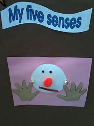 Image result for My 5 Senses Preschool Theme