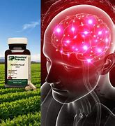 Image result for Dreaming Brain Supplements