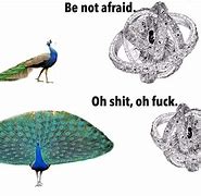 Image result for Do Not Be Afraid Angel Meme