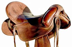Image result for Exotic Horse Saddles
