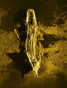 Image result for Under the Sea Shipwreck
