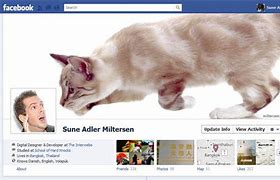 Image result for Funny Meme Facebook Covers