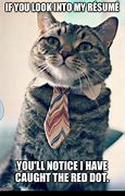 Image result for Cat Catches the Red Dot