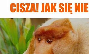 Image result for cisza_jak_ta