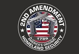Image result for 2nd Amendment Cirlcle SVG