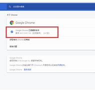 Image result for iPhone Chrome 无法打开此网页