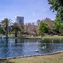 Image result for Cheap Things to Do in Orlando