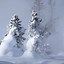 Image result for Plain Snow Wallpaper iPhone