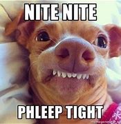 Image result for Good Night Guys Meme