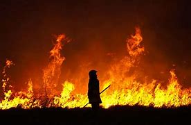 Image result for Man Sitting in Burning House