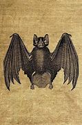 Image result for Vintage Bats Border