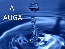 Image result for aiuagas