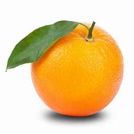 Image result for PNG Tree Orange Fruit