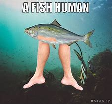Image result for Fish Memes Clean