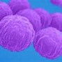 Image result for Chlamydia Patients