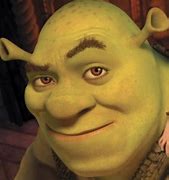 Image result for Shrek Eyebrow Meme