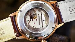 Image result for TY2809 Movement
