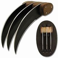 Image result for Tiger's Claw Weapon