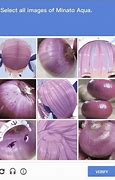 Image result for Minato Aqua Onion Meme