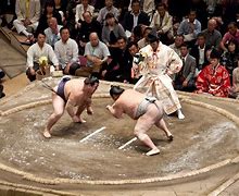 Image result for Sumo