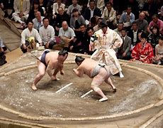 Image result for Sumo Wrestling Stance