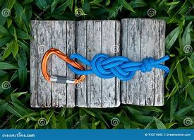 Image result for Figure Eight Carabiner