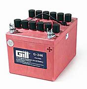 Image result for Discover Dry Cell Battery
