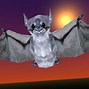 Image result for CC0 Bats