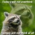 Image result for Crazy Raccoon Meme
