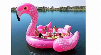 Image result for Amazing Pool Floats