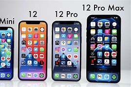 Image result for iPhone 12 Mini vs 12 Pro Max